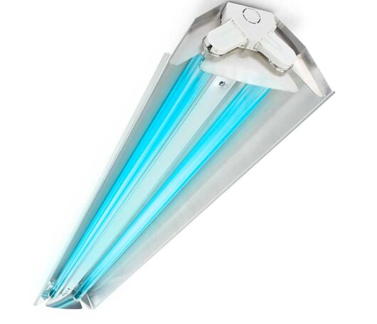 slamp